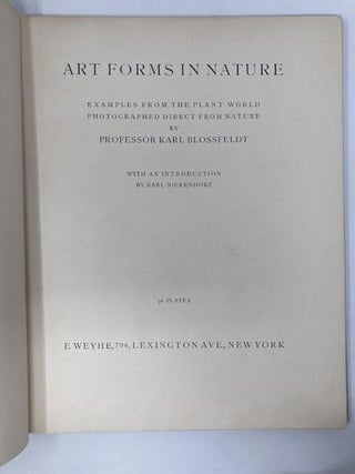 Art Forms in Nature: Examples From the Plant World Photographed Direct From Nature