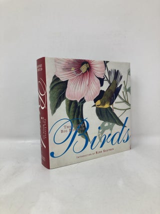 Item #173563 The Little Big Book of Birds (Little Big Books