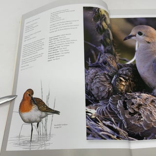 The Princeton Encyclopedia of Birds