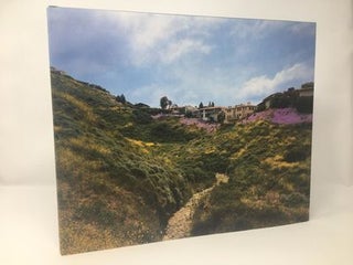 Item #89865 18 Landscapes