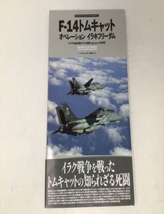 Item #91704 F-14 Tomcat